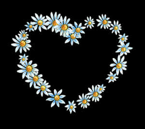 Daisy Heart Formation Black Background PNG image with transparent background