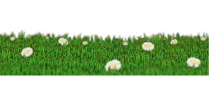 Field Meadow PNG Image PNG with transparent background