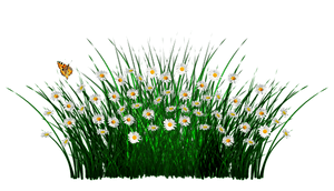 Field Meadow PNG Pic PNG with transparent background