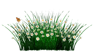 Daisy Meadowwith Butterfly PNG Image