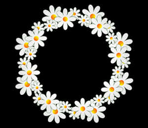 Daisy_ Wreath_on_ Black_ Background PNG image with transparent background