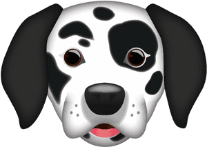 Dalmatian, HD Png Download PNG image with transparent background