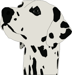 Dalmatian Head Clipart, HD Png Download PNG image with transparent background