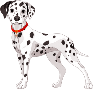 Dalmatian Png High-quality Image - Dalmatian Dog Clipart, Transparent Png PNG image with transparent background