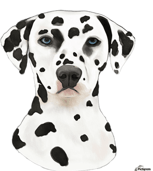 Dalmatian, Print - Dalmatian Frame, HD Png Download PNG image with transparent background