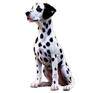 Dalmatian Spots Outline Png Ryg76 PNG Image