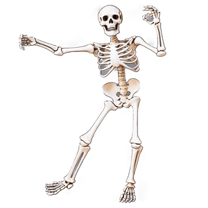 Dancing Skeleton PNG oxs PNG image with transparent background