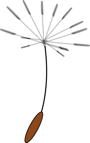 Clip Art Dandelion Seed, HD Png Download PNG
