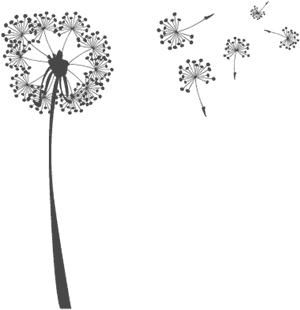 Freetoedit Very Pretty Dandelion Dandelionseeds Png - Black And White Dandelion Clip Art, Transparent Png PNG