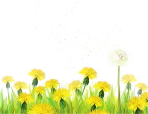 Dandelion Seeds Blowingin Wind PNG Image