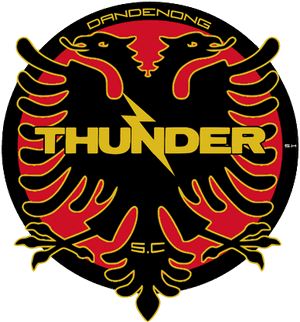 Dandenong Thunder Sc - Dandenong Thunder PNG image with transparent background