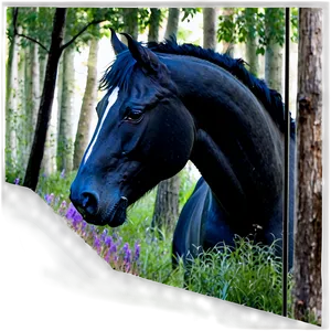 Dark Black Horse In Forest Png Eye84 PNG Image