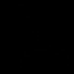 Dark Blank Canvas PNG