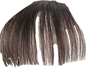 Download Bangs Sticker - Transparent Hair Bangs Png, Png Download PNG image with transparent background