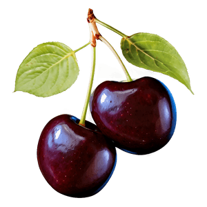 Dark Cherries PNG 06212024 PNG with transparent background
