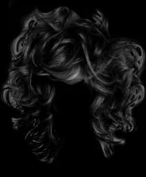 Wildhair Wig Hair Burnett Black Party Costume Disguise - Long Wild Hair Png Transparent, Png Download PNG image with transparent background