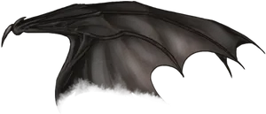 Dark Demon Wing PNG Image