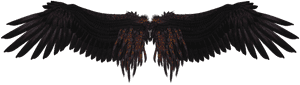 Wings Png Download - Black Angel Wings Art, Transparent Png PNG with transparent background