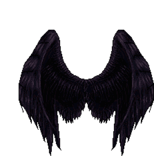 Symmetry, HD Png Download PNG with transparent background