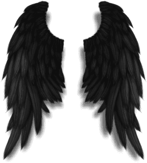 Darkangel Angelwings Angels Angel Wings Feathers Fly - Buy Black Angel Wings, HD Png Download PNG with transparent background
