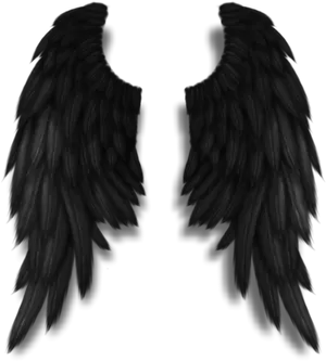 Dark_ Feathered_ Wings_ Artwork PNG Image