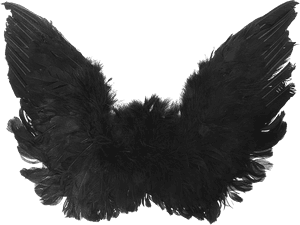 Accessory,fashion Accessory,fur,ear - Transparent Black Angel Wings, HD Png Download PNG with transparent background