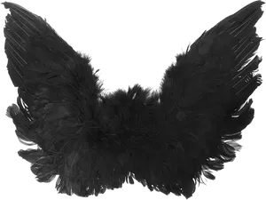 Dark Feathered Wings.png PNG Image