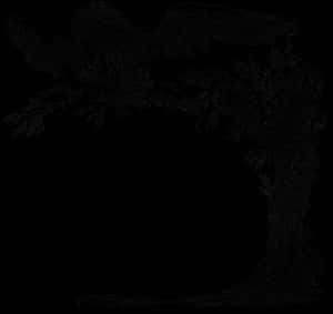 Dark Floral Corner Design PNG image with transparent background