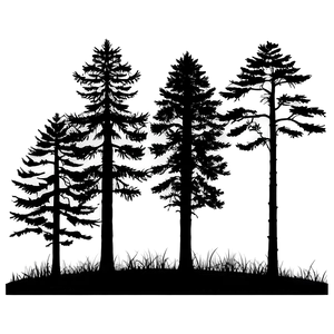 Dark Forest Silhouette Png Kaw39 PNG Image