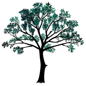 Dark Forest Tree Png Fwh PNG Image