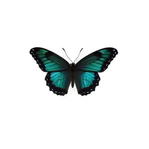 Dark Green Butterfly Png 06202024 PNG Image