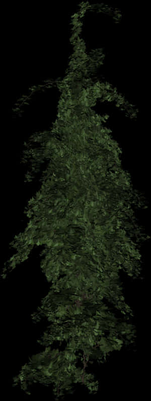 Ivy Plant Green Free Picture - Wall Plant Transparent Background, HD Png Download PNG image with transparent background