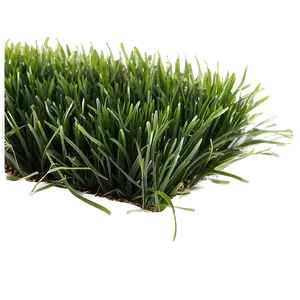 Dark Green Grass Png 06262024 PNG Image