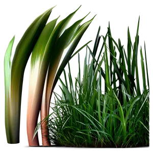 Dark Green Grass Png Oci75 PNG Image