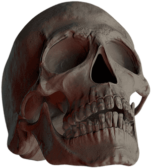 Skull, Skull And Crossbones, Bone, Creepy, Weird, Death - Creepy Bone Png Horror, Transparent Png PNG image with transparent background