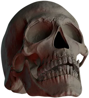 Dark Human Skull3 D Render PNG Image