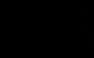 Dark Leaf Outlineon Black Background PNG image with transparent background