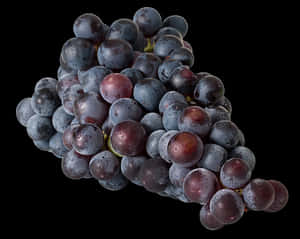 Dark Red Grapes Cluster.jpg PNG image with transparent background