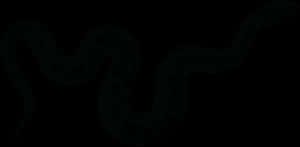 Dark_ Serpentine_ Silhouette PNG image with transparent background