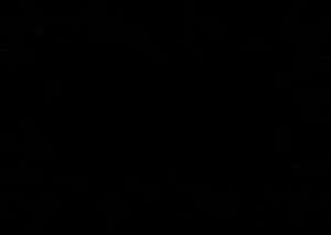 Dark Silhouette Crowd Background PNG image with transparent background