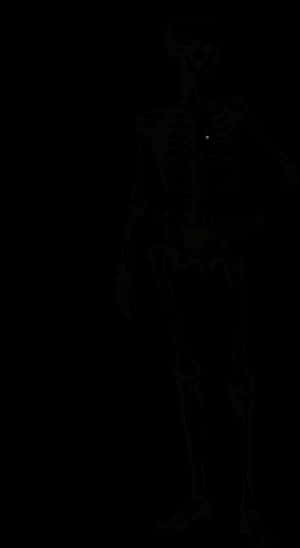 Dark Silhouetteof Human Skeleton PNG image with transparent background