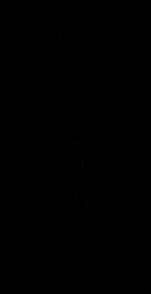 Question Stickman Stick Figure Free Picture - Stickman Png, Transparent Png PNG