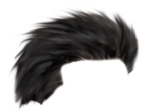 Dark_ Swept_ Hairstyle_ P N G PNG Image