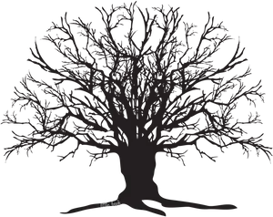 Dark_ Tree_ Silhouette_ Artwork.jpg PNG Image