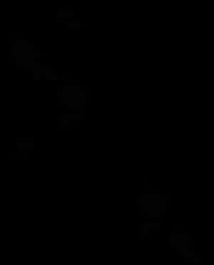 Mq Black Feather Feathers Floating Falling - Black Feathers Falling Png, Transparent Png PNG image with transparent background
