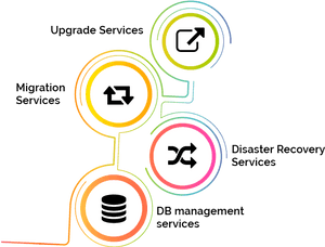 Database Upgrade Services, HD Png Download PNG image with transparent background