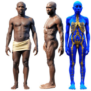 Dawn of Living Beings PNG pwb PNG image with transparent background