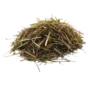 Dead Grass Clippings Png Fcq22 PNG Image