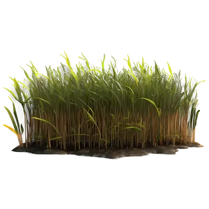 Dead Grass Patch Png Yfu10 PNG Image