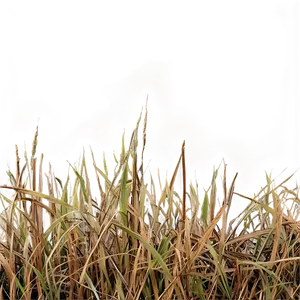 Dead Grass Texture Png 59 PNG Image